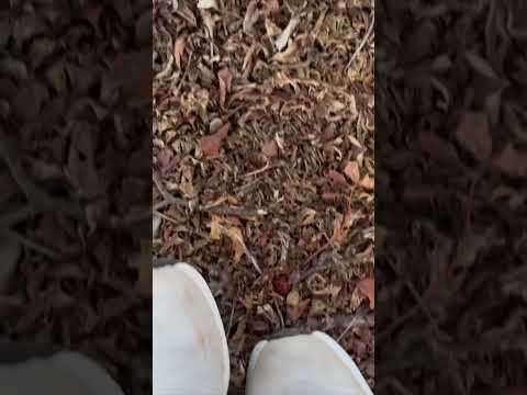 ASMR IN RANDOM PLACES