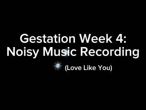 “ASMR” “Roleplay”: You and Your Twin Listen to a Noisy Song Recording on the Fourth Week in the Womb