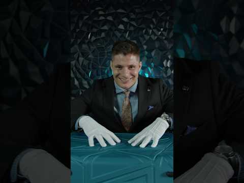 ASMR обзор на красивый чемодан от британского бренда it luggage. Для создания ролика пиши 🎁