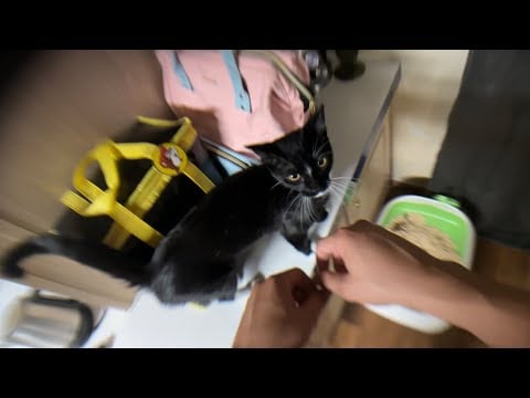 [ ASMR TEST ]  New Camara Lens / POV Neck Mount  and Rode Wireless Microphone