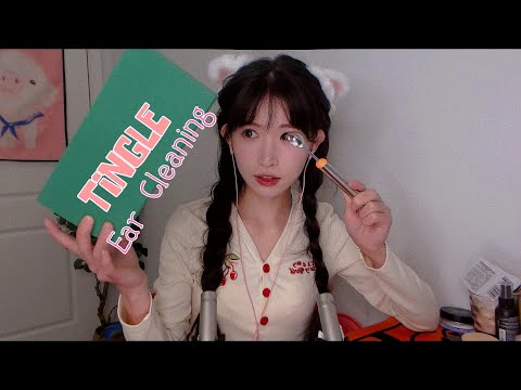 ASMR 免疫刺癢掏耳,花泥刺痛助眠,頭頂摩擦 Tingle Ear Cleaning,Scratching,Tapping