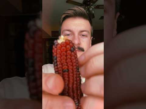 Dried Corn Scratching Sounds #asmr #visualasmr #upcloseasmr #asmrshorts #raeasmr #scratching