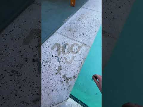 if i guess your battery percentage you’re out asmr game at the pool #asmr #asmrgame #asmrwhisper