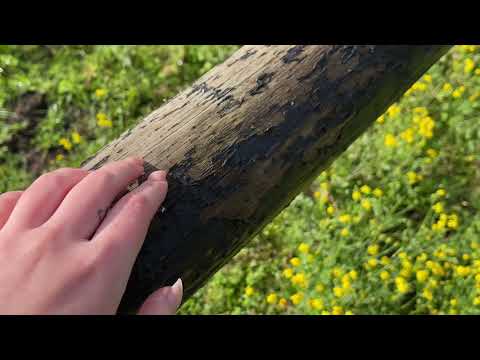 asmr for you :) #13 🌀