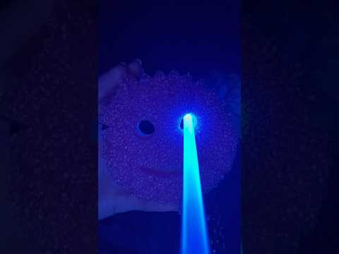 POV: scrub mommy tries to put you to sleep 🧽🎀 #asmr #spongeasmr