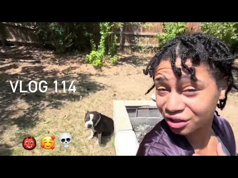 Vlog #114 - Jazmin Wanted To Go Outside Again