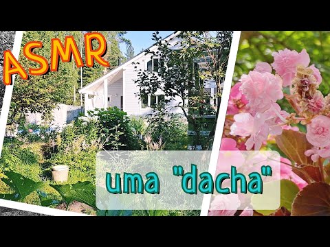 ASMR sons da natureza 🐦🌿 voz suave em português e em russo