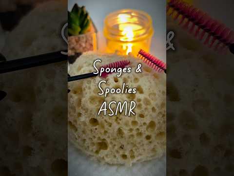 Sponges & Spoolies ASMR 🧽 Which Ones Are Your Favourite? #asmrshorts