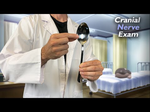 ASMR Cranial Nerve Exam on your Kadabra 🥄 | Pokémon ASMR Roleplay