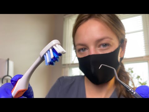 ASMR POV / 6 Month Dental Checkup | Soft Spoken Cleaning, Counting, Scaling & Fluoride Treatment