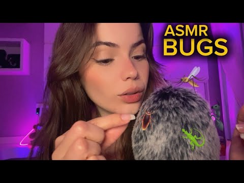 ASMR BUGS - NO TALKING