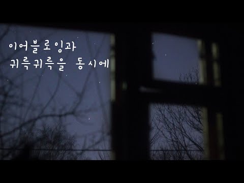 ASMR No talking / 이어블로잉과 귀륵귀륵을 동시에!