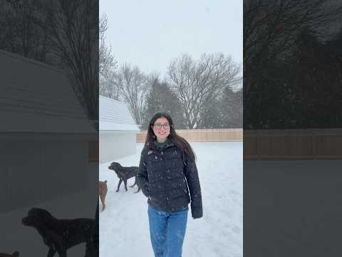 The dogs wanted to join in☃️ #snowblizzard #snowstorm