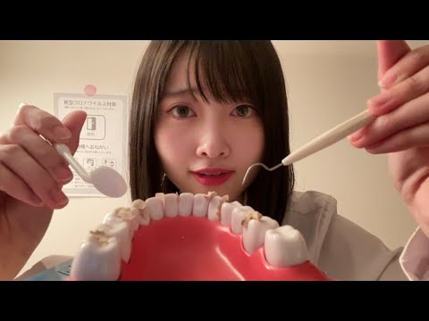 【ASMR】歯医者さんロールプレイ【歯石除去・ホワイトニング】