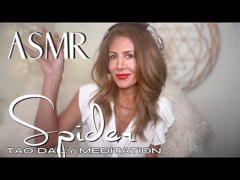 SPIDER ☯️ ASMR Tao Daily Meditation: DAY 234 ✨