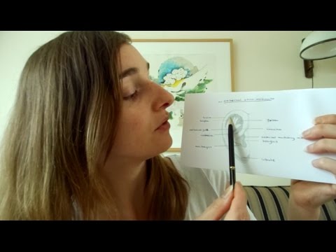 ASMR Soft Spoken - Binaural Ear Examination Role Play