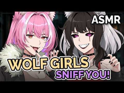 Wolf Girls Sniffing YOU In A Dark Alley?! 🐺👃 ft. @NyanTalesASMR  II ASMR Audio RP