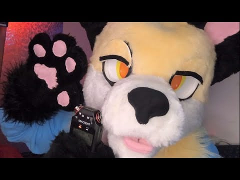 [FURRY ASMR] Fursuit Brushing and Paw Movements