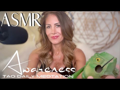 ASMR ☯️Tao Daily Meditation: DAY 102 ✨ AWARENESS