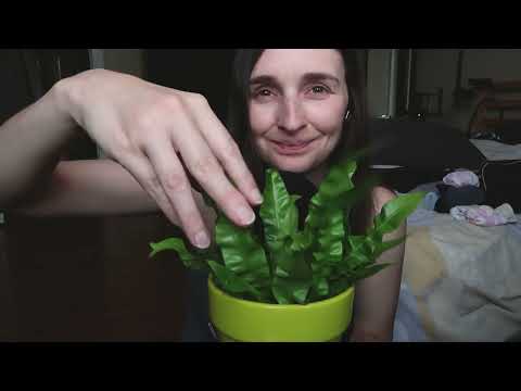 ASMR Crispy Plant Sounds & Whispered Fishroom Update