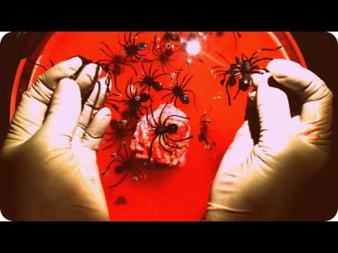 Latex Gloves✋ Halloween Witch👵❤👅 Whispering🐜💣 Spell & a fluttering Bat [[ASMR]]