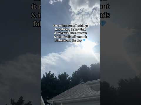 The raindrops catching a glimpse of the sun through them 💧🌦️☀️ natures ASMR is the best there is