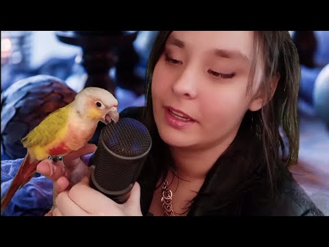 Doctor explains EMOTIONAL SUPPORT ANIMALS for depression - in ASMR