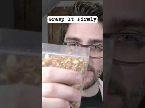 Crushing Your Seeds Just How You Like It #ASMR