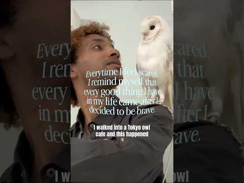 When a barn owl crowns you king in Tokyo 👑 🦉