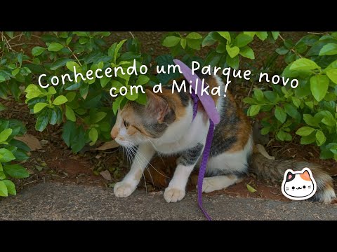 Mini vlog: Explorando um Parque Novo 🐾