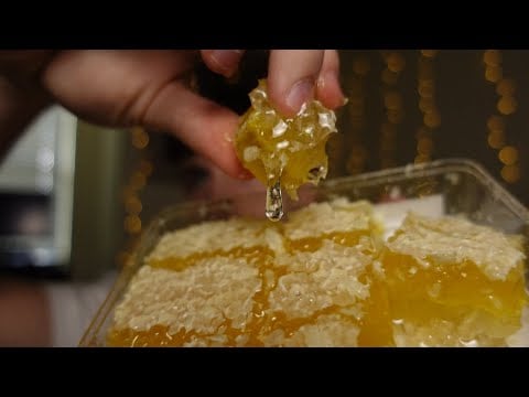 ASMR Raw Honeycomb Eating | Sticky & Delicious Golden Honey Sounds for Relaxation