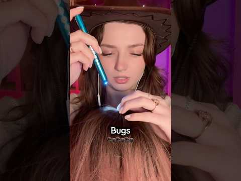 Bugs 🐜 #asmr #asmrsounds #asmrrelax #asmrsleep #relax #tingles #asmrvideo #relaxingvideos