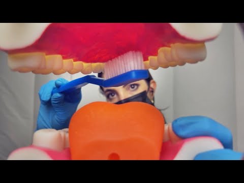 ASMR: DENTISTA REMOVENDO SUA CÁRIE - Sweet Carol