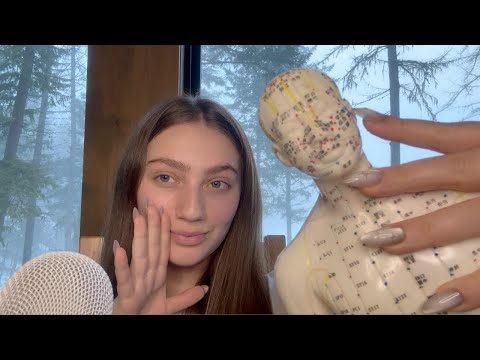 ASMR Acupuncture Doll | Full Body Tapping and Scratching (away the holiday stress)