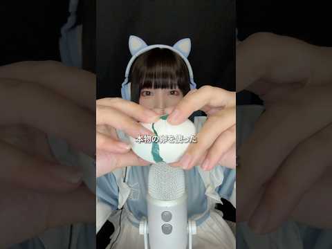 【ASMR】本物の卵を使ったスライム作ってみた🥚 #ASMR #スライム #手作り #卵スライム #作り方 #shorts