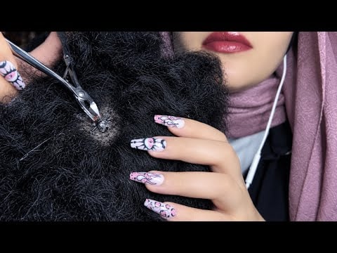 ASMR Bugs Searching and Plucking On Afro (gum chewing)