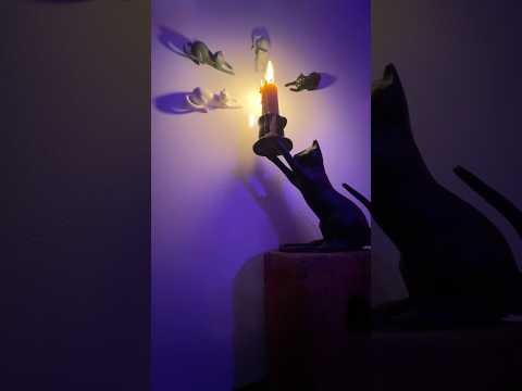 The Tavern Cats Are Lining Up… ✨🐈🕯️