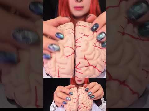 ASMR 🧠 BRAIN TINGLES... Literally! Sleep & Relaxation #asmr #shorts