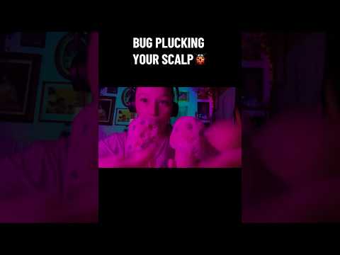ASMR- Bug Plucking🐞 #asmrsounds #fypシ #asmrshorts #mouthsoundasmr