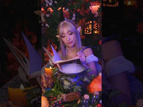ELIXIR DES SONGES (partie 3/3)