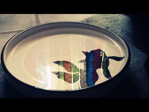 EATING SOUNDS🐱 nom nom  😻...RAWR...[[ASMR]]
