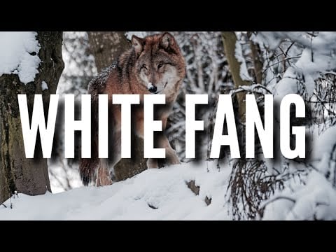 ASMR | WHITE FANG (3) by Jack London | Soft Spoken Reading + Fireplace Ambience