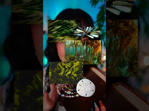 Let’s choose your mermaid home🪸🧜‍♀️🫍🐚 #asmr