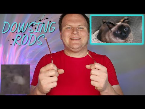 Asking Sammy Questions About Her on the Dowsing Rods