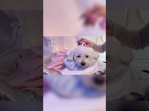 ASMR Princess makeover #fyp #asmrsounds #shorts #viralshorts #asmrsleep #asmr