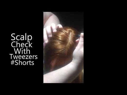 ASMR Scalp Check with Tweezers (NO TALKING) #Shorts