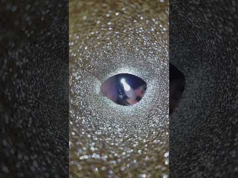 Trigger tunnel #asmr #visualtingle #relax #asmrvideo #asmrtriggers #triggersforsleep