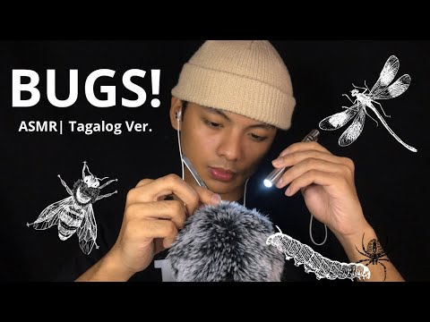 ASMR︱Bug Searching! (Tagalog Version) ~ most requested by my subscribers 🤍