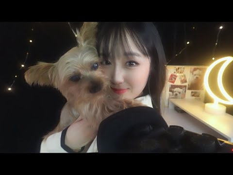 ASMR(Sub✔) Korean Whispering ASMRㅣSoft spokenㅣTalkingㅣAbout Pet Loss Grief & Syndrome