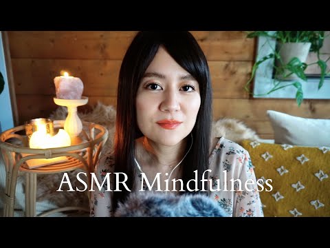 【ASMR】心と体の調和｜マインドフルネスの誘導｜ささやき声でしレイキヒーリングを送ります